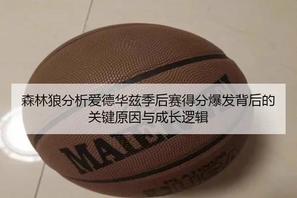 森林狼分析爱德华兹季后赛得分爆发背后的关键原因与成长逻辑